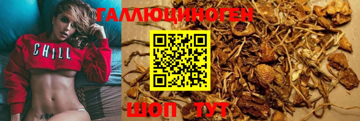 Псилоцибиновые грибы GOLDEN TEACHER Новоалександровск