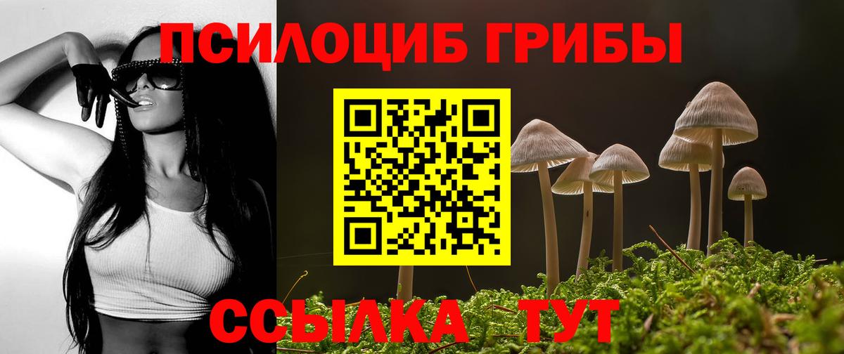 Псилоцибиновые грибы GOLDEN TEACHER  Вход с VPN  Новоалександровск 